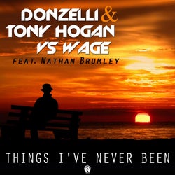 Things I've Never Been (feat. Nathan Brumley)