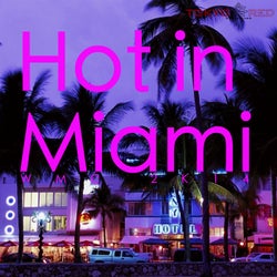 Hot in Miami 2014 WMC