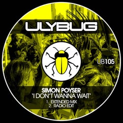 I Don't Wanna Wait