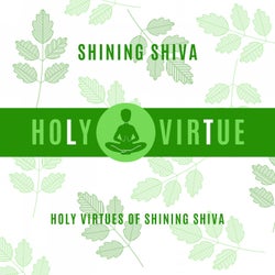 Holy Virtues Of Shining Shiva