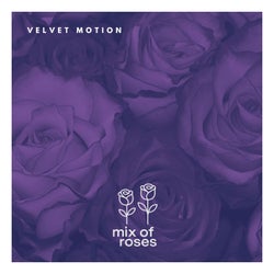 Velvet Motion