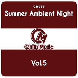 Summer Ambient Night, Vol. 5