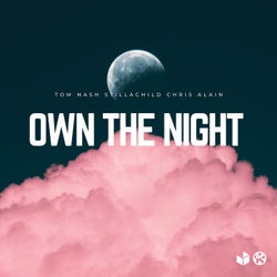 Own the Night (Extended Mix)