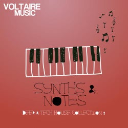 Synths And Notes 8.0