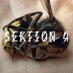 SEKTION 4