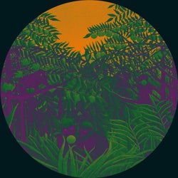 Apes In The Orange Groove