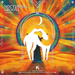 Nocturnal Groove
