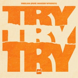 Try Try Try (feat. Martay M'Kenzy)