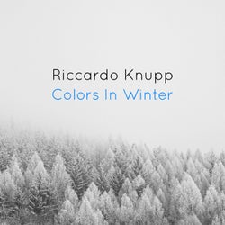 Colors In Winter