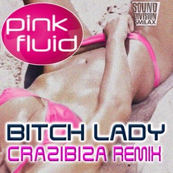 Bitch Lady Remix