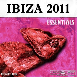 Ibiza Essentials 2011