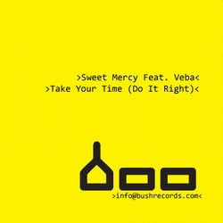 Take Your Time (Do It Right) [feat. Veba]