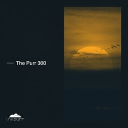 The Purr 300