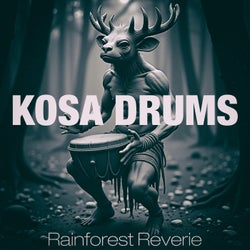Rainforest Reverie