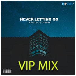 Never Letting Go (VIP Mix)