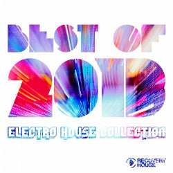 Best Of 2013 - Electro House Collection