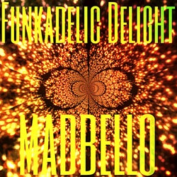 Funkadelic Delight