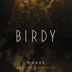 Words (We Are I.V Remix)