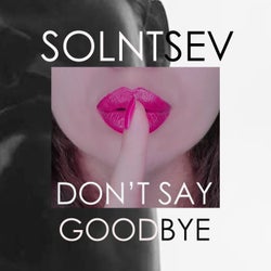 Don't Say Goodbye