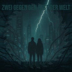 Zwei Gegen Den Rest Der Welt