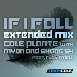 If I Fall (Extended Mix)