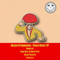 Disco Night EP