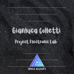 Project Electronic Lab
