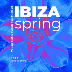 Ibiza Spring 2025 (Melodic Techno Rockets from the Heart)