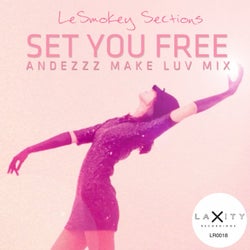 Set You Free (Andezzz Make Luv Mix)