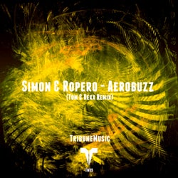 Aerobuzz (Tom & Dexx Remix)