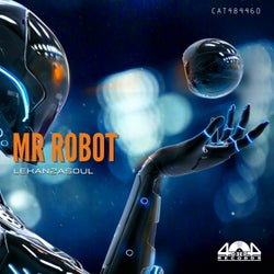 Mr Robot