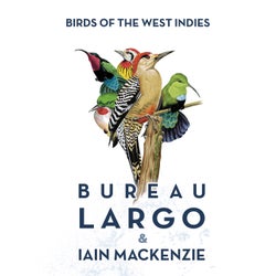 Birds of the West Indies (Radio-Edit)