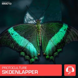 Skoenlapper