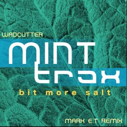 Bit More Salt (Mark E.T Remix)