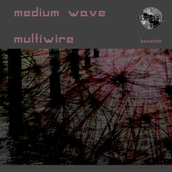 Multiwire