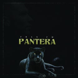 Pantera