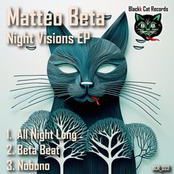 Night Visions - EP