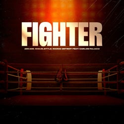 Fighter (Extended Mix)