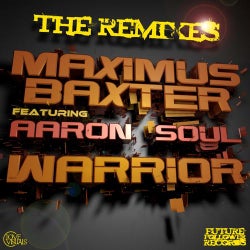 Warrior The Remixes