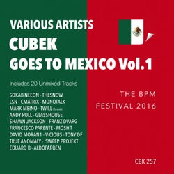 Cubek Goes To Mexico, Vol. 1 (The BPM Festival 2016)
