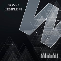 Sonic Temple #1