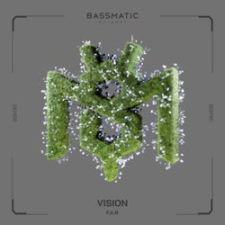Vision