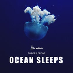Ocean Sleeps (432Hz Version)