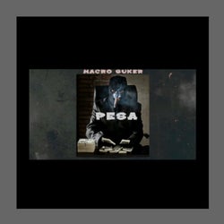 Pesa