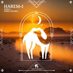 Harem-I