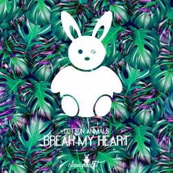 Break My Heart