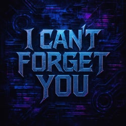 I Can't Forget You