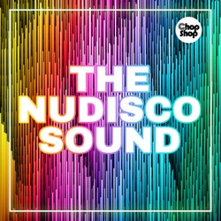 The Nudisco Sound