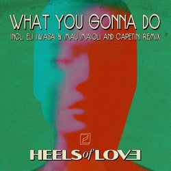 What You Gonna Do (Remix pack)