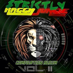 Strictly Ragga Jungle Compilation Album Vol 2